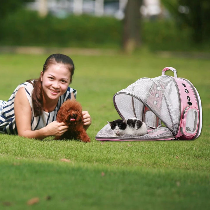 Cat Bag Expandable Cat Carrier Backpack Portable Pet Puppy Traveling Outdoor Backpack Transporter Conveyor Cats Bag Pet Supplie