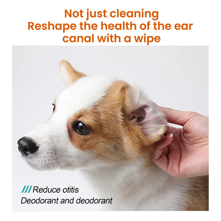  Pet Ear Wipes for Dogs Cats Cleaning Remove Ear Mites Wax Odor Aloe Vera Gentle Anti Itch Non Irritating Ear Care Grooming