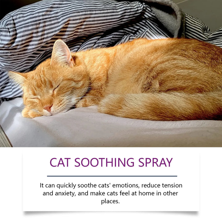 60ml Pet Calming Spray Prevent Howling Reduce Anxiety Soothe Mood Pet Dog Cat Estrus Calming Prohibition Spray Pet Supplies