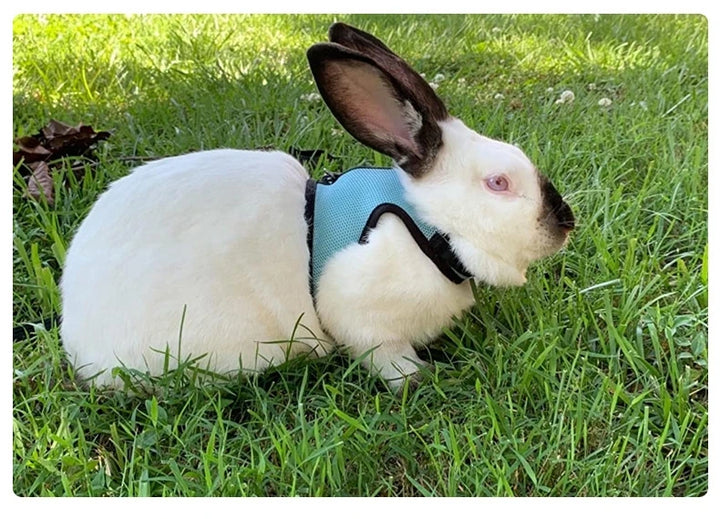 Harness with Leash Set for Rabbits Breathable Pet Vest for Rabbit Ferrets Guinea Pig Squirrel Adjustable Soft Small Pet Harness