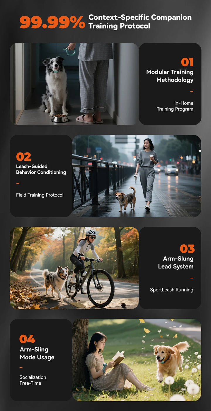 Dog Leashes Suitable for Dogs of All Sizes with Dog Training E-collar Remote Control and Automatic Training Leashes