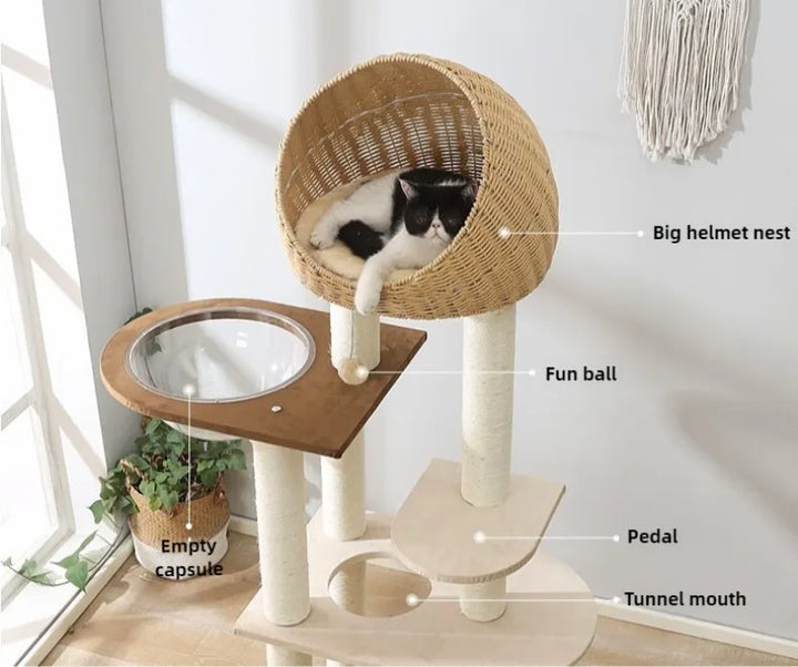 Solid Wood Cat Tree Large Pets Cat Sleeping Tree Transparent Cabin Kitten Tower Pet Toy Accessories Nap Scratching Post for Cats