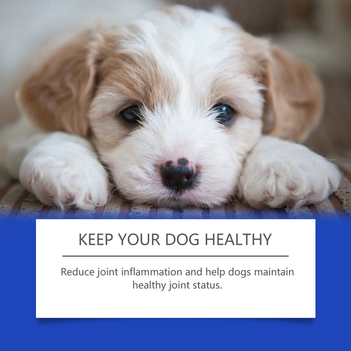 Urinary Tract Infection-Reducing Pet Dietary Supplement Prevents Disease Cares Pet's Discomfort Cat Nutritional Supplement