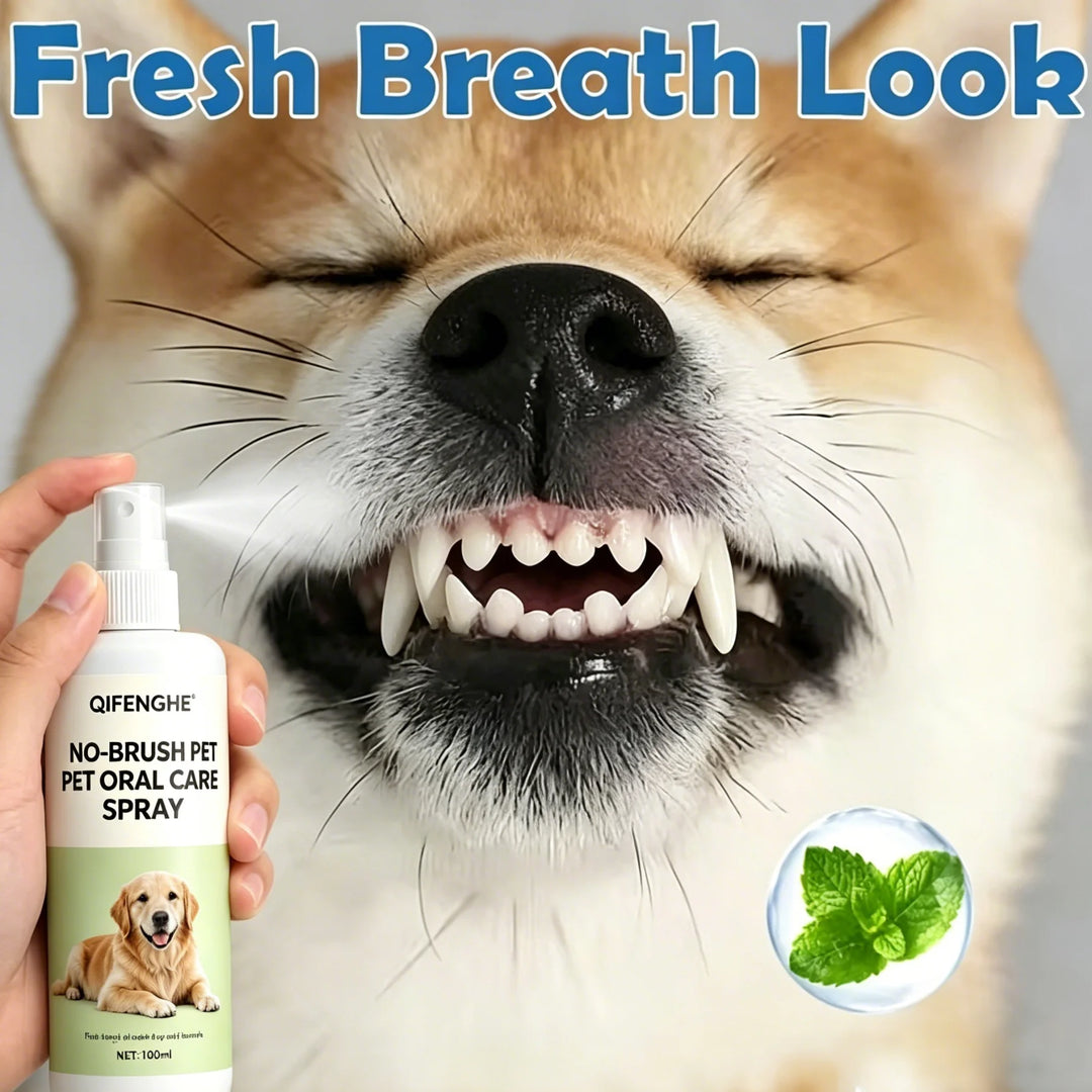 Pet oral freshener spray, which can freshen breath and promote the oral health of cats and dogs