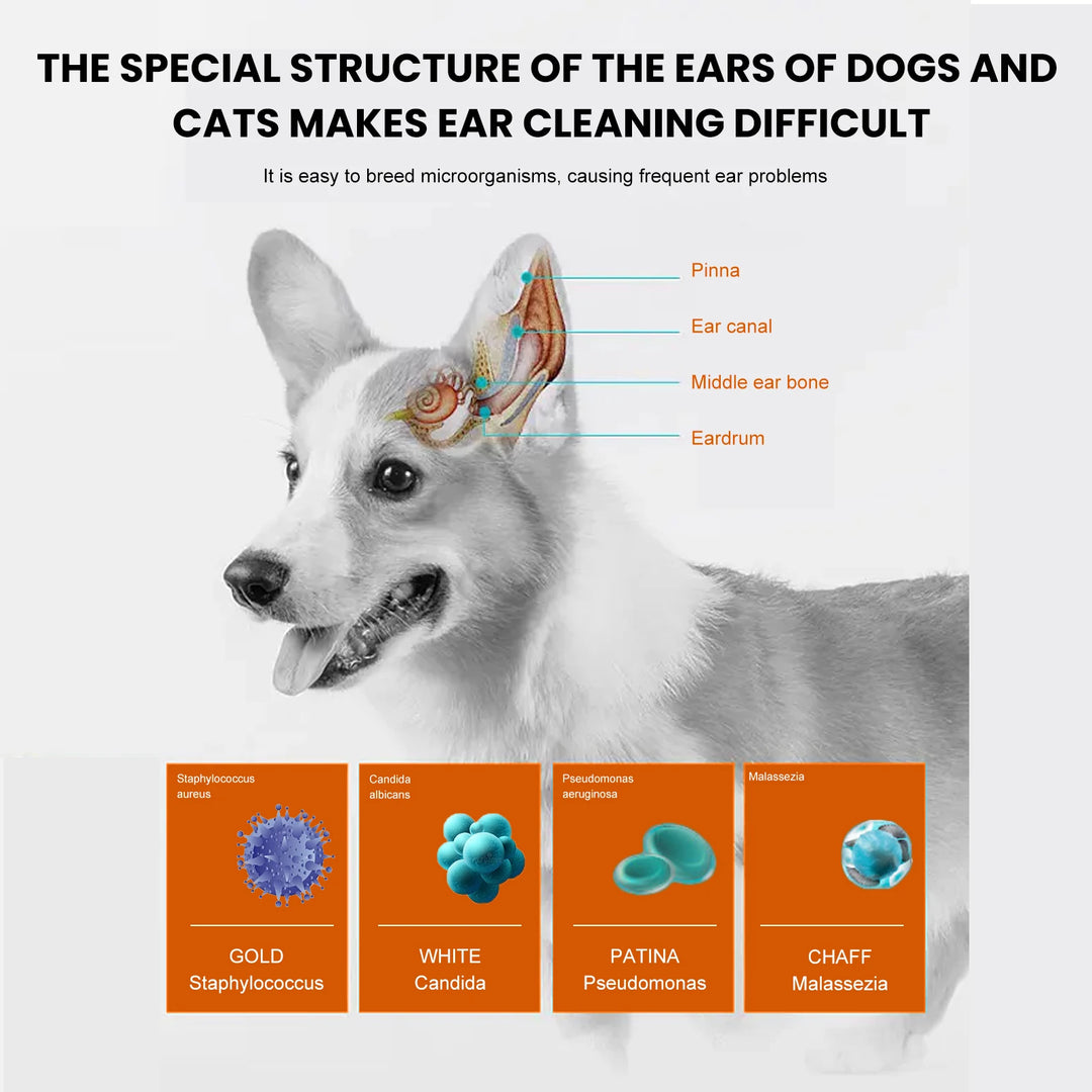  Pet Ear Wipes for Dogs Cats Cleaning Remove Ear Mites Wax Odor Aloe Vera Gentle Anti Itch Non Irritating Ear Care Grooming