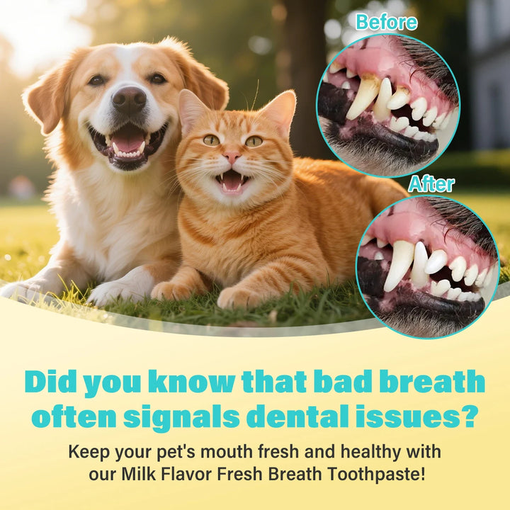 Dog Cat Dental Care Kit Milk Toothpaste Toothbrush Deep Clean Freshens Breath Reduces Plaque Tartar Oral Care For All Breeds