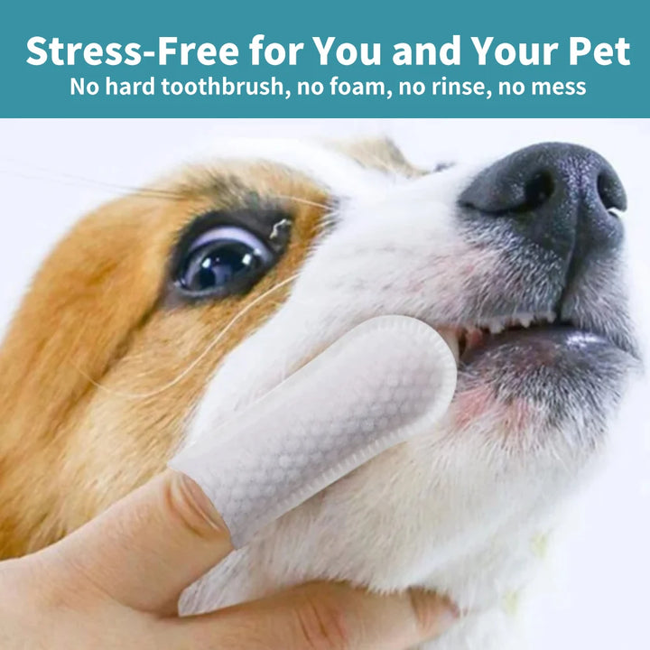 Pet Dental Finger Wipes for Dogs Cats Teeth & Gum Care Stain & Tartar Control Fresh Breath No-Rinse Disposable Oral Care