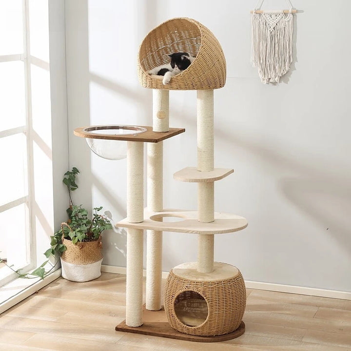 Solid Wood Cat Tree Large Pets Cat Sleeping Tree Transparent Cabin Kitten Tower Pet Toy Accessories Nap Scratching Post for Cats