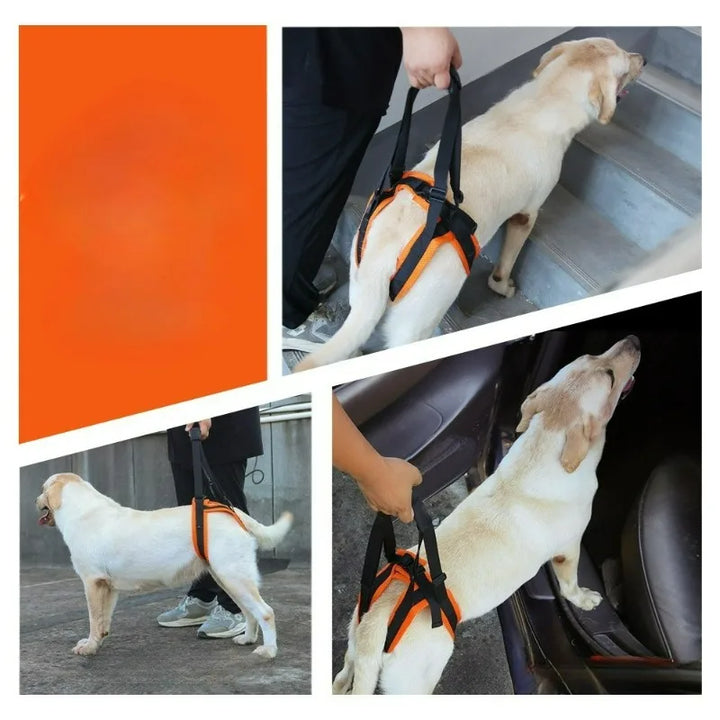 Pet Leashes Walking AIDS for Disabled and Elderly Dogs Adjustable Hind Leg Lifting Assistance Belts Cat Leash Pet Accessories