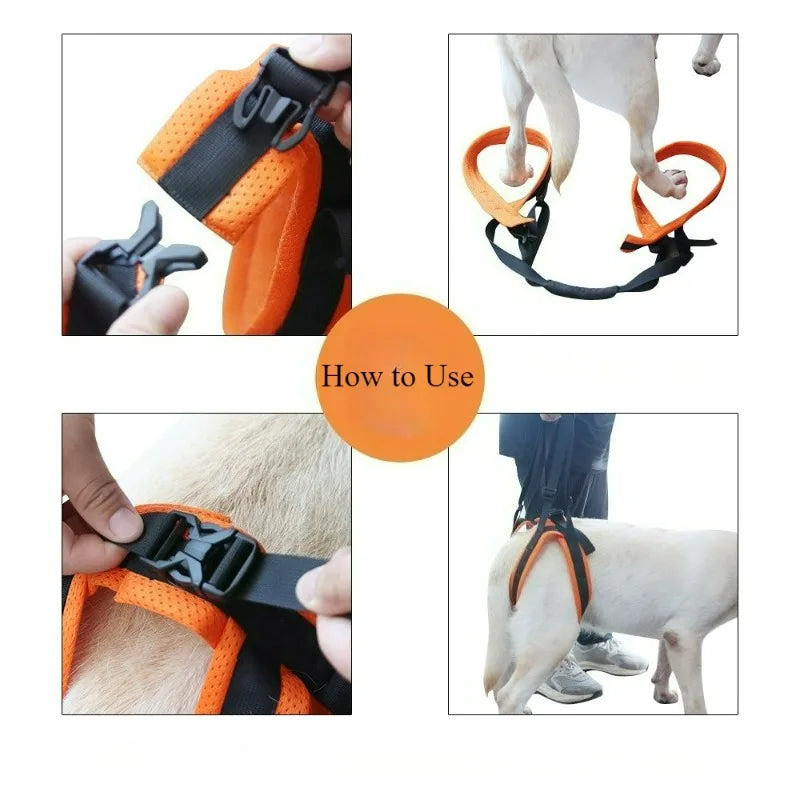 Pet Leashes Walking AIDS for Disabled and Elderly Dogs Adjustable Hind Leg Lifting Assistance Belts Cat Leash Pet Accessories