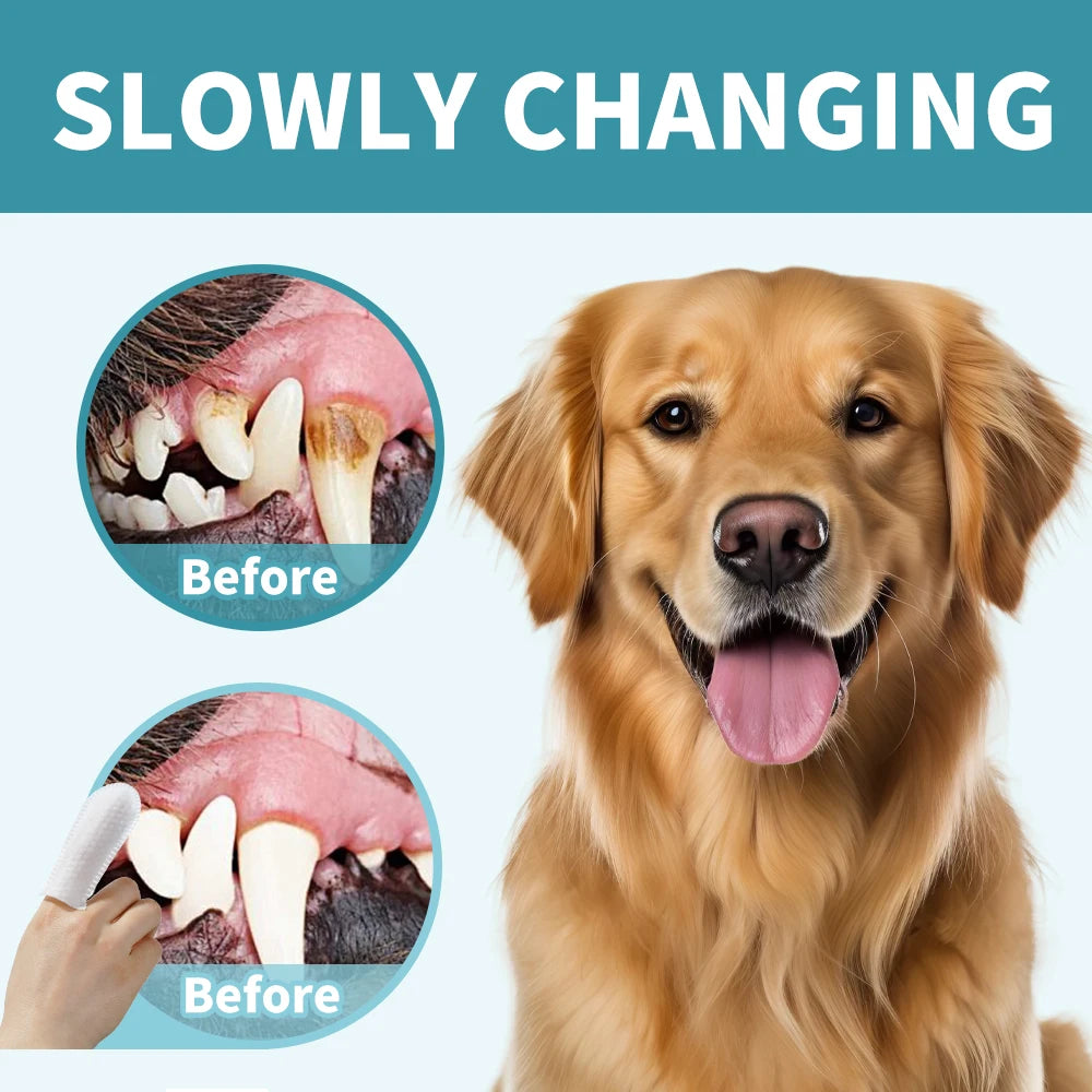 Pet Dental Finger Wipes for Dogs Cats Teeth & Gum Care Stain & Tartar Control Fresh Breath No-Rinse Disposable Oral Care