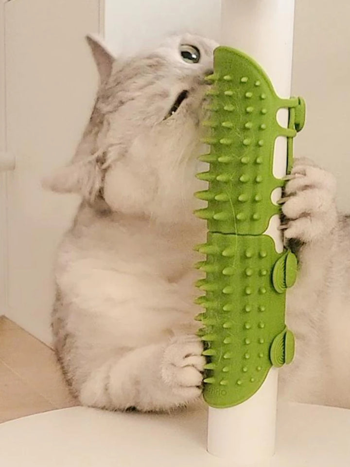 Pet Cat Hair Removal Massage Comb Cats Scratching Rubbing Brush kitten Grooming Self Cleaning Wall Corner Cat Scratcher Combs