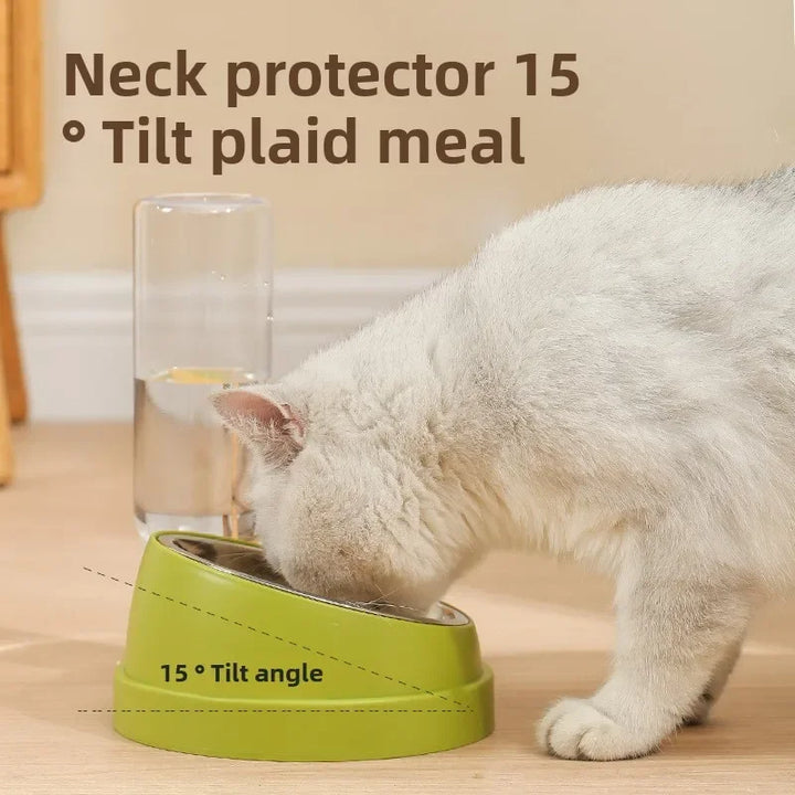 Double Bowl Pet Feeder with Anti-Tip Design + Auto-Refill Water Dispenser for Dogs & Cats