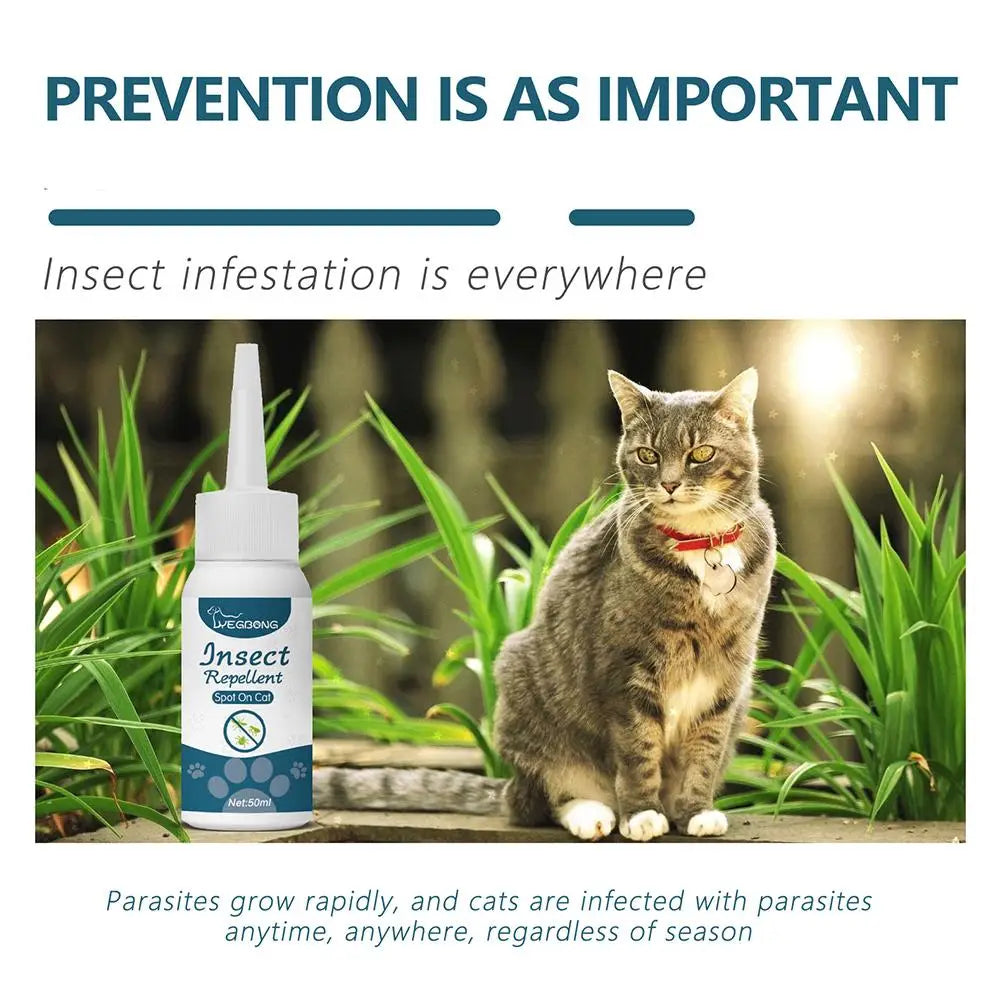 Pet Flea Killer Drop Anti-Fleas Ticks Lice Mite Removal Relieve Itching for Cats Dogs Ringworm Treatment Pet Insect Removal Drop