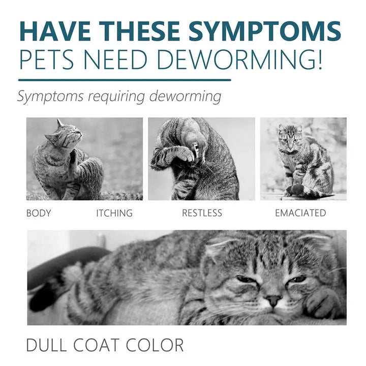 Pet Flea Killer Drop Anti-Fleas Ticks Lice Mite Removal Relieve Itching for Cats Dogs Ringworm Treatment Pet Insect Removal Drop