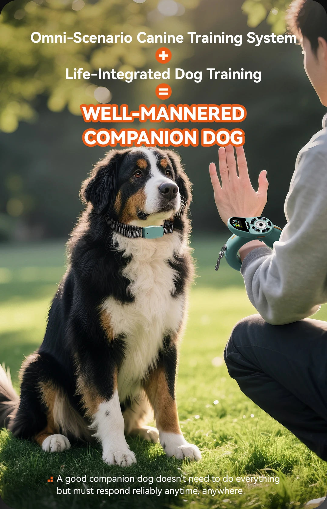 Dog Leashes Suitable for Dogs of All Sizes with Dog Training E-collar Remote Control and Automatic Training Leashes