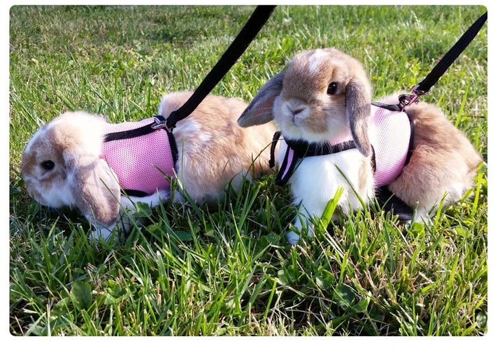 Harness with Leash Set for Rabbits Breathable Pet Vest for Rabbit Ferrets Guinea Pig Squirrel Adjustable Soft Small Pet Harness