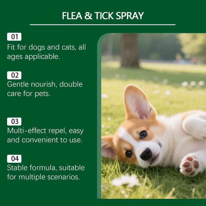 Dog Cat Flea Tick Repellent Spray Fur Protection Pet Parasite Control Solution Pets Soothing Care Natural Pets Insect Anti Spray
