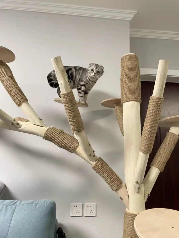 Nature Tree Cat Climbing Small Family Large Tree Cat Climbing Pet Tree House Indoor Habitat Pet Training Supplies Best GIft