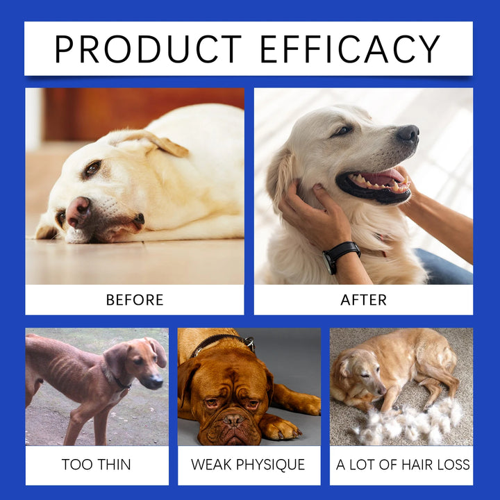 Urinary Tract Infection-Reducing Pet Dietary Supplement Prevents Disease Cares Pet's Discomfort Cat Nutritional Supplement