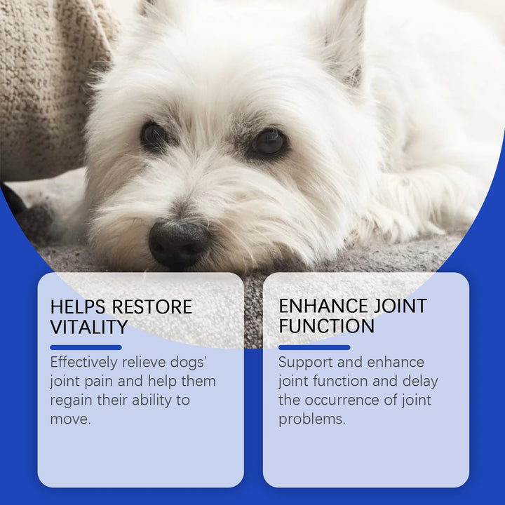 Urinary Tract Infection-Reducing Pet Dietary Supplement Prevents Disease Cares Pet's Discomfort Cat Nutritional Supplement