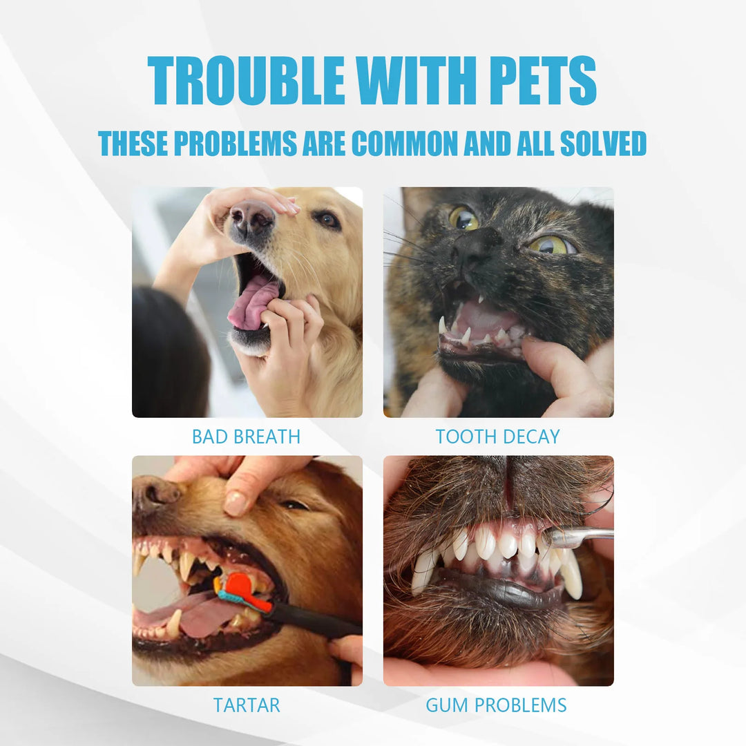 Pet ToothpasteFreshens Breath & Reduces Bad BreathRemoves Tartar & Cleans TeethOral Care Edible Toothpaste for Dogs & Cats