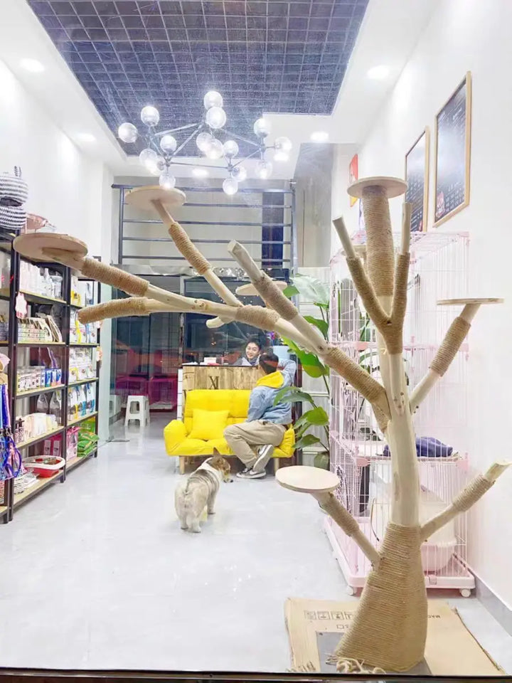 Nature Tree Cat Climbing Small Family Large Tree Cat Climbing Pet Tree House Indoor Habitat Pet Training Supplies Best GIft