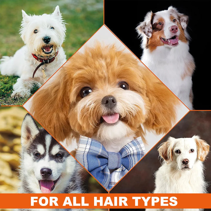 Pet shampoo, cat and dog shampoo, pet cleaning, pet odor removal hair protection, making hair softer, preventing pet hair loss