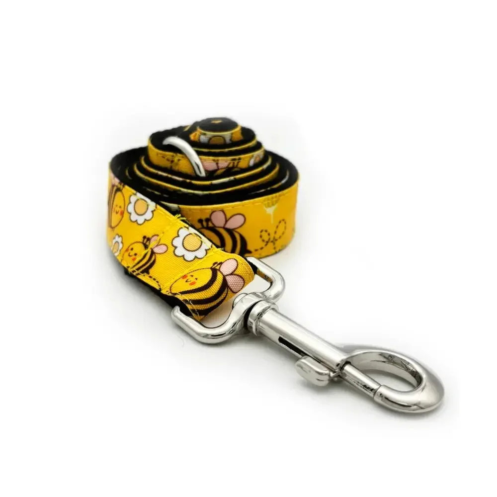 Free Engraving Personalized Dog Collars,Matching Leashes,Customized ID Name Contacts Muilti Design Adjustable Pet Collars