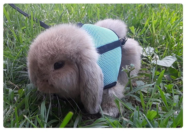 Harness with Leash Set for Rabbits Breathable Pet Vest for Rabbit Ferrets Guinea Pig Squirrel Adjustable Soft Small Pet Harness