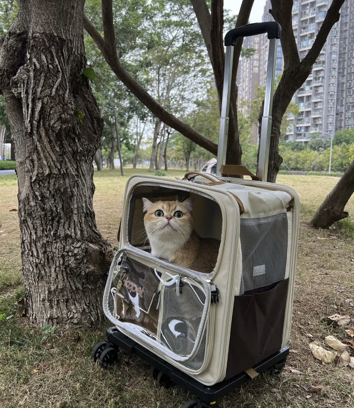 Rolling Cat Carrier with Wheels for Large Cats Small Dogs Up To 10kg  Ideal for Travel Walking and Camping Cat Handbag Dog Bag