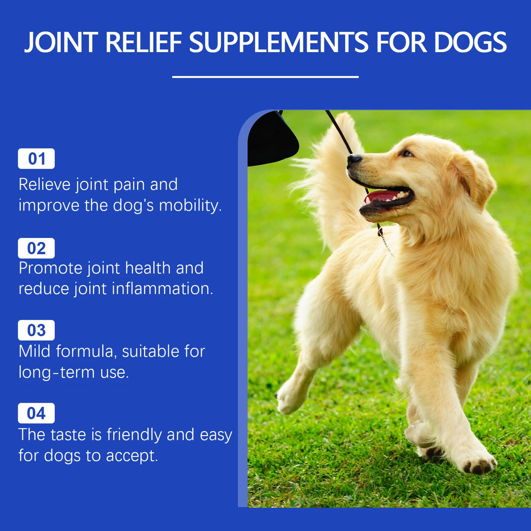 Urinary Tract Infection-Reducing Pet Dietary Supplement Prevents Disease Cares Pet's Discomfort Cat Nutritional Supplement