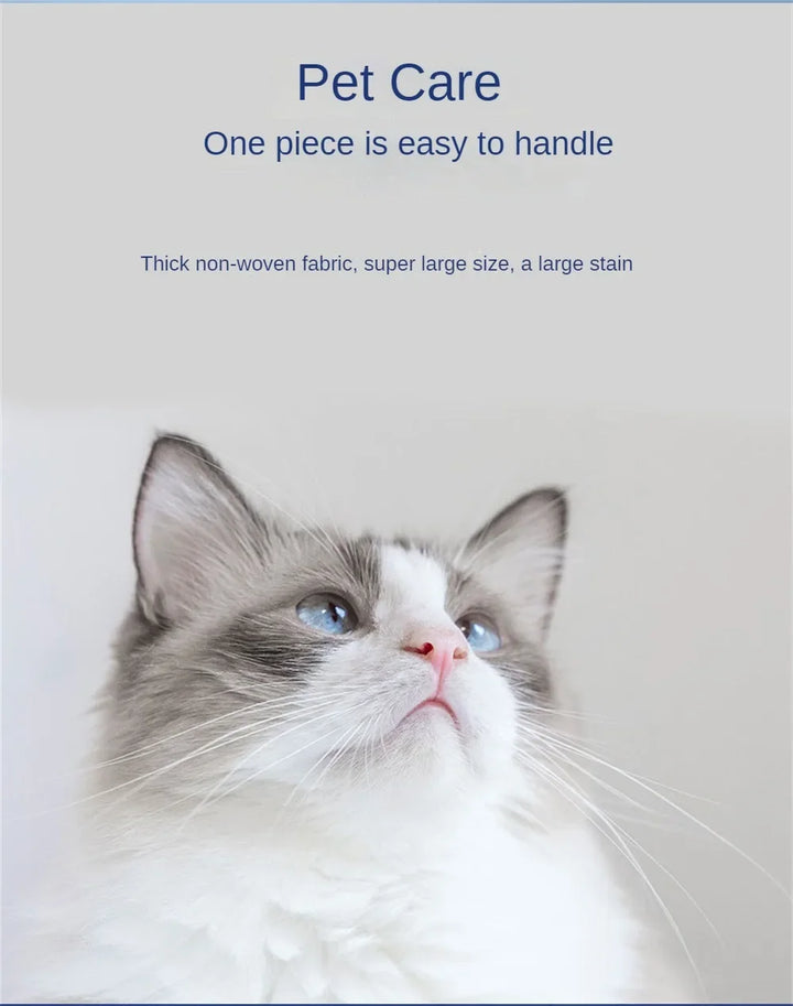 Pet Wipes Ro Pure Water Formula Pet Care Pet Health Care and Cleaning Pet Specific Cleaning Deodorizing Wet Tissue No Wash
