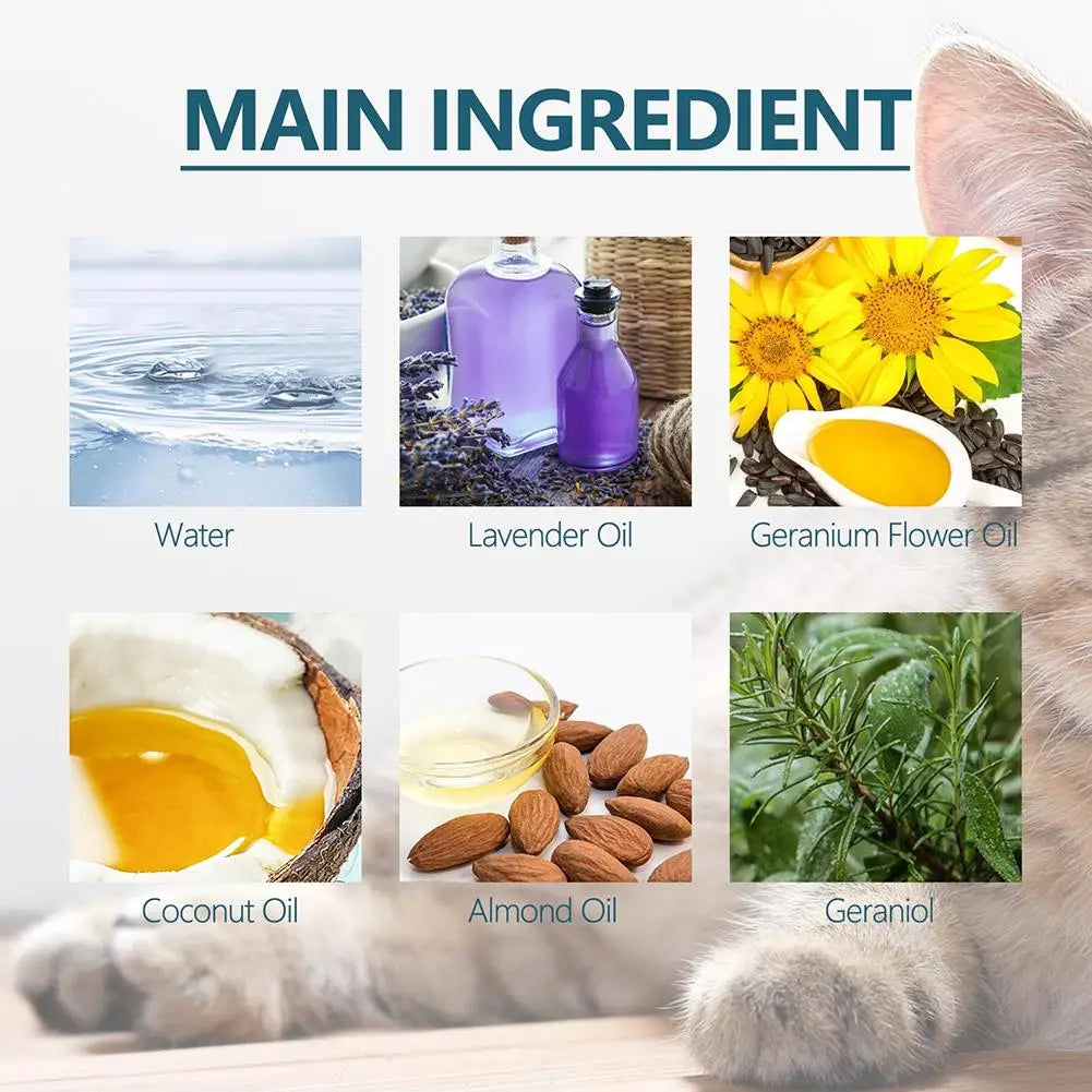 Pet Flea Killer Drop Anti-Fleas Ticks Lice Mite Removal Relieve Itching for Cats Dogs Ringworm Treatment Pet Insect Removal Drop