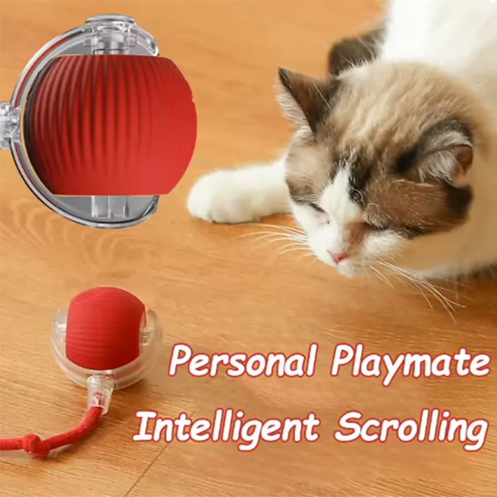 Dog and cat toys, ball, durable, self-entertainment, with rope, cat teaser ball, pet supplies, jumping ball, thud pet toys