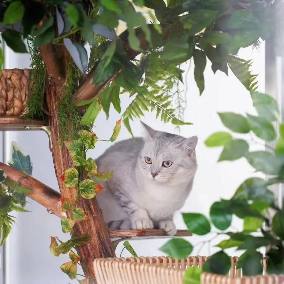 Nature Tree Cat Climbing Small Family Large Tree Cat Climbing Pet Tree House Indoor Habitat Pet Training Supplies Best GIft